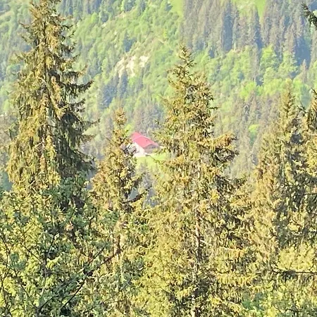 Eil * Söll